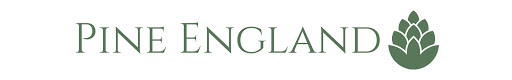 Pine England - Visual