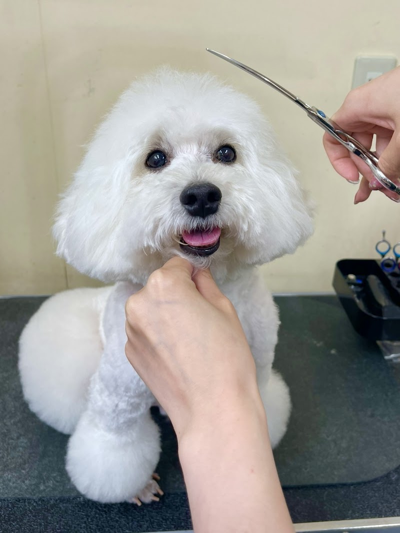 ペットショップ Aペット(ペットプラザ)東淀川菅原店