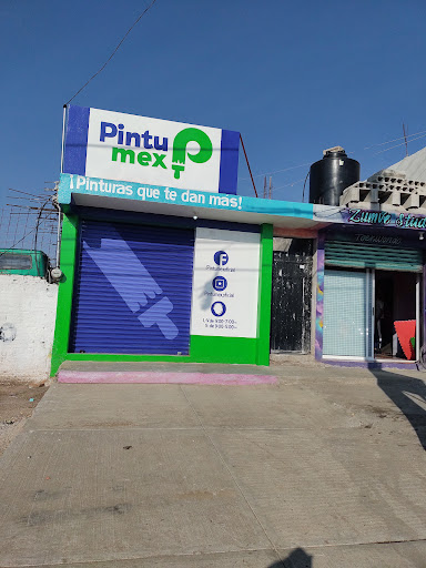 PINTUMEX ZACATEPEC
