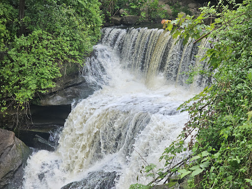 Mud Brook Falls - Visual
