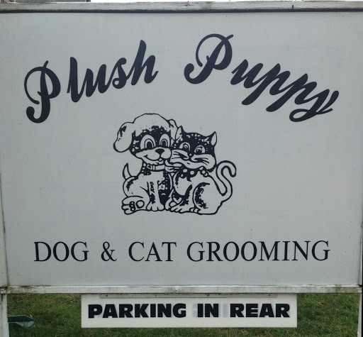Plush Puppy - Thumbnail