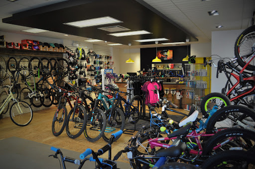 Cycles Beaumier - Visual