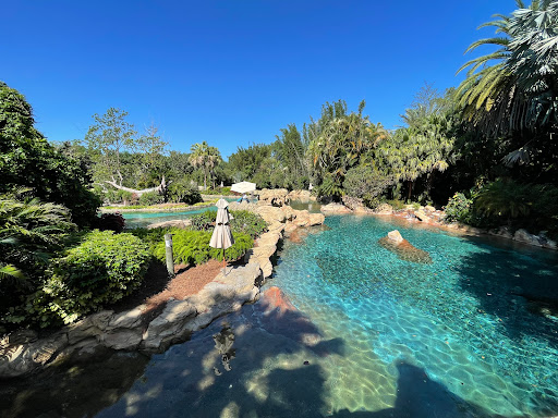Discovery Cove - Thumbnail