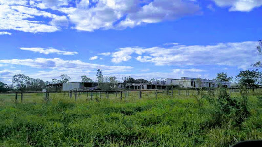 Cape River - Visual