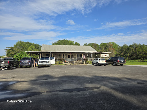 The Gator Cafe - Thumbnail