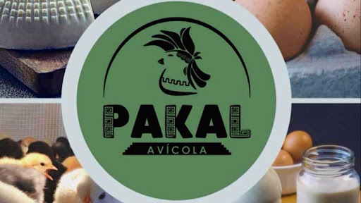 Avicola Pakal Huevos, Quesos, Leche y derivados - Thumbnail