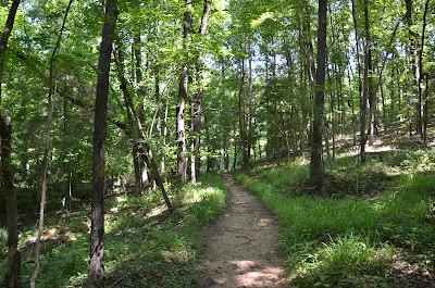 40 Acre Rock Lower Parking