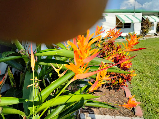 Cardinal Court Mobile Home Park - Thumbnail