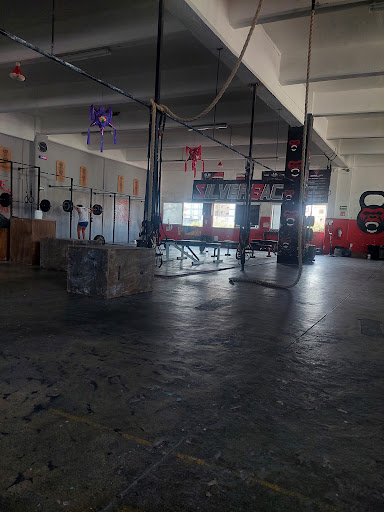 Silverback TC Gym - Thumbnail