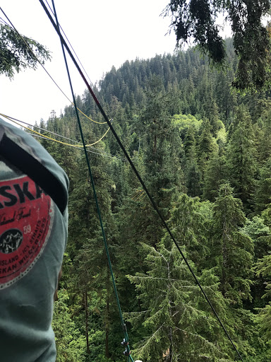 Alaska Canopy Adventures - Thumbnail
