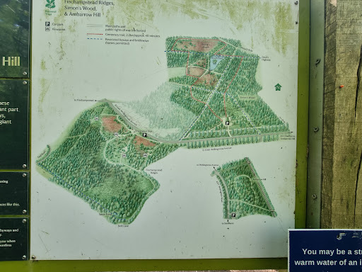 Heath Pool - Visual