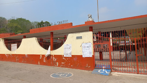 Escuela Oficial Isabel Rivera de Santos - Thumbnail