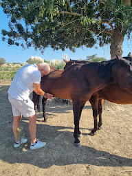 Photo n°2 de ALCHiMIST AR'T. Joe Galland. Guérisseur.Magnétiseur .Radiesthésiste. à Canet-en-Roussillon (Praticien de médecine alternative)