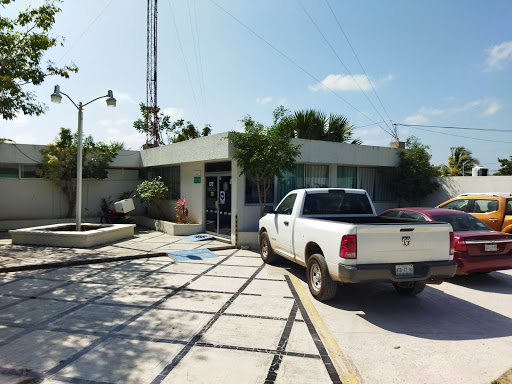 CFE CANDELARIA - Visual