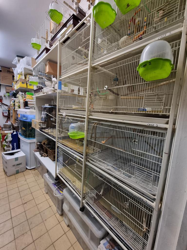 Pets Paradise Store and Grooming Parlour photo 3