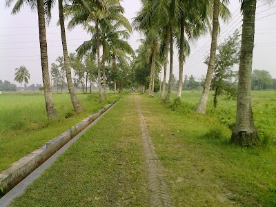Photos of Talmar More Bus Stop