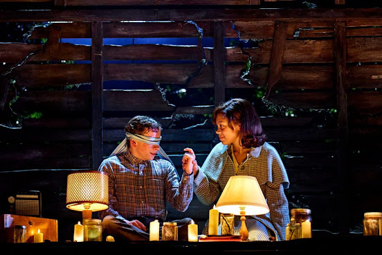 Stranger Things: The First Shadow by null