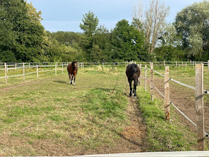 Photo n°3 de Ecuries d'Aimer à Chailly-en-Gâtinais (Haras)