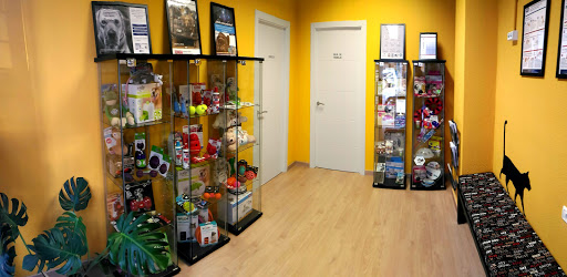 Animaletos - Centro de Etología Veterinaria