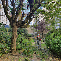 Photo n°27 de SAB à Argenteuil (Carreleur)