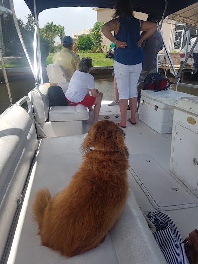 Photos of Manatee Sightseeing Eco-Tourism Adventure