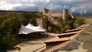 Photo n°13 de ALSACE SAFARI à Colmar (Agence de visites touristiques)