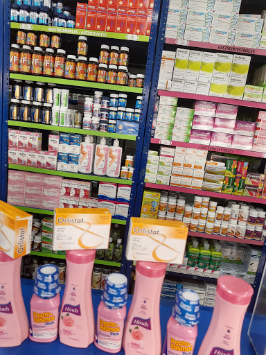Farmacia similares Lauro Villar - Thumbnail