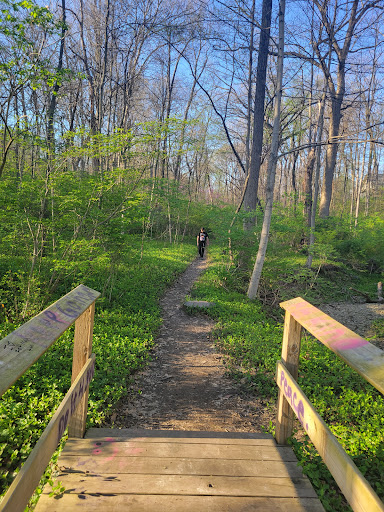 C.I. Beaver Park Gallery - United States