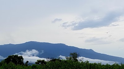 Photos of Dong Hua Sao National Bio-Diversity Conservation Area