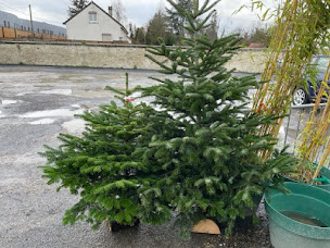 Photo n°10 de Jardi à Cauffry (Jardinerie)