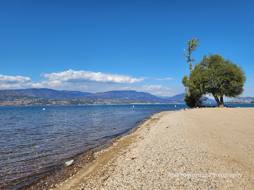 Sarsons Beach Park - Thumbnail