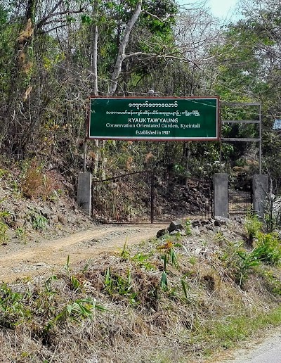 Photos of Kyauk Taw Yaung Conservation Orientated Garden