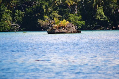 Photos of Ahe Dive Resort Papua