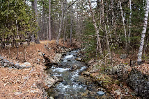 Moultonborough Village