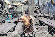 Pouakai Zoo, New Plymouth, New Zealand