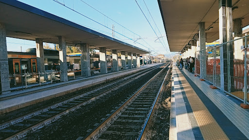Jesi - Visual