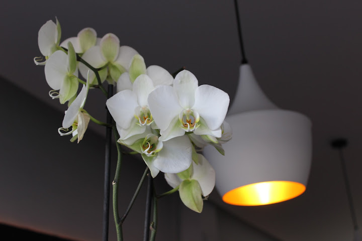 Hostal Balearic by null