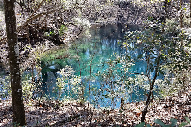 Visit Leon Sinks Geological Area On Your Trip To Tallahassee