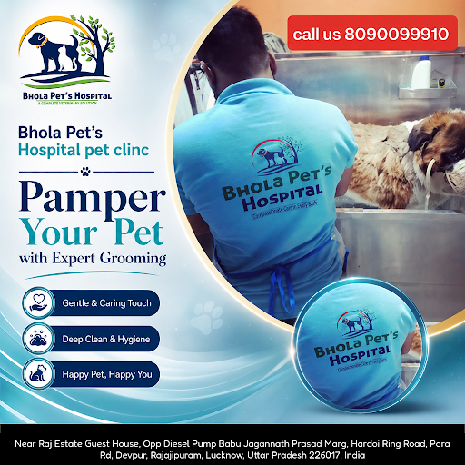 Bhola Pet's Hospital pet clinic offers professional pet grooming services to keep your furry frie… post image