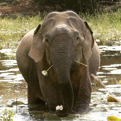 Photos of Dilhan Tours