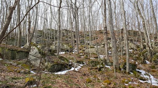 Jewett Preserve - Thumbnail