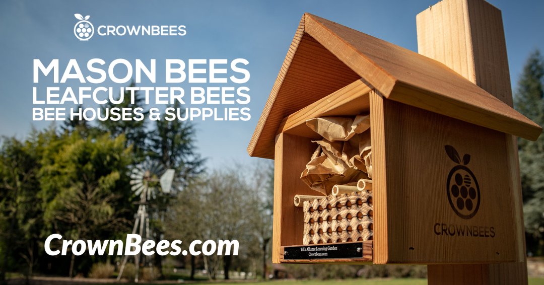 Crown Bees - Solitary Bees, Houses & Supplies