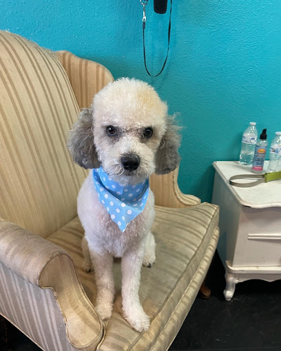 Pooch Bar Mobile Dog Grooming LLC