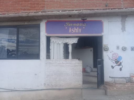 Ciber farmacia Ashly