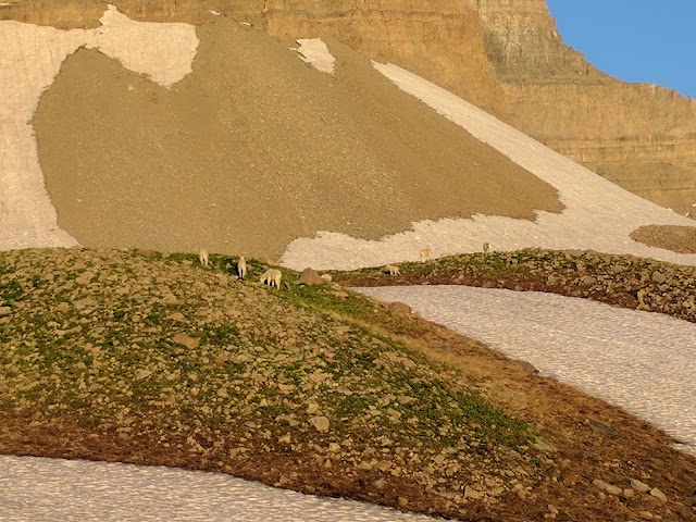 Mount Timpanogos