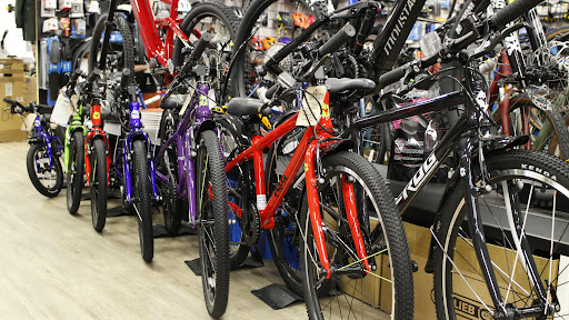 Damian Harris Cycles - Thumbnail
