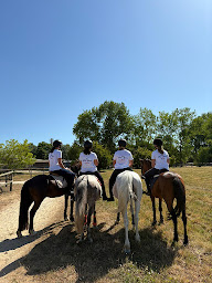 Photo n°2 de Le Clos Des Groges à Saint-Benoît (Pension pour chevaux)