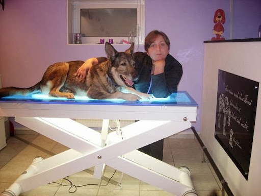 Hundesalon Marlies Dog Styling - Thumbnail