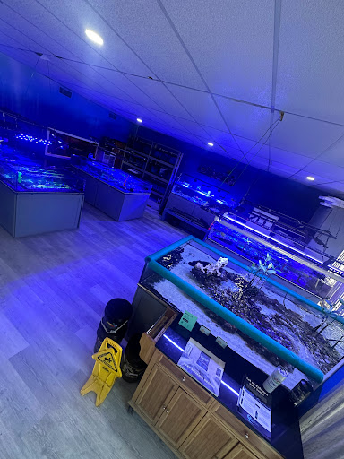 PNC Fish and More - Thumbnail
