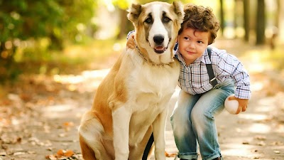 Cleburne County Animal Clinic